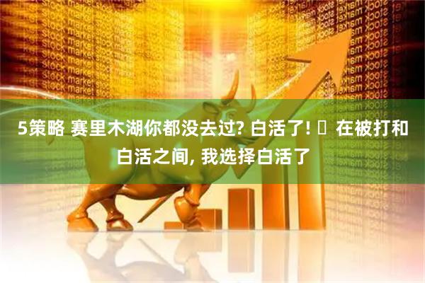 5策略 赛里木湖你都没去过? 白活了! ‌在被打和白活之间, 我选择白活了
